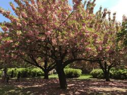 Fundraising Page Image